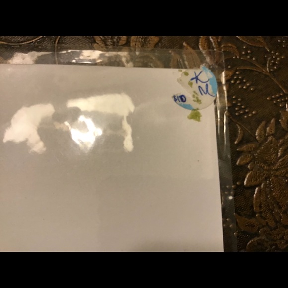 Hapu’u Fiddlehead in the Jungle, Keanu Malone - Picture 3 of 5